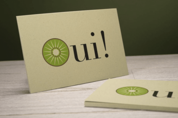 Flyers ecologiques Chez DD