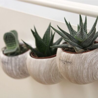 Pot a plante personnalisable Chez DD