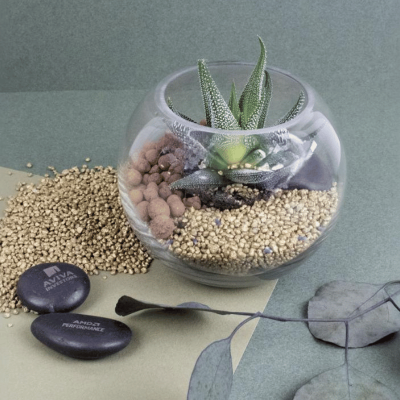 Plante terrarium personnalise