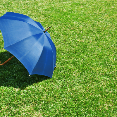 Parapluie de ville Made in France